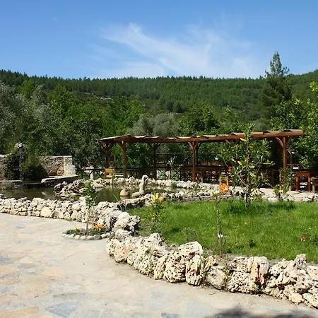 Uyku Vadisi