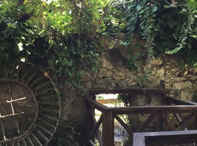 Uyku Vadisi Agaclihuyuk