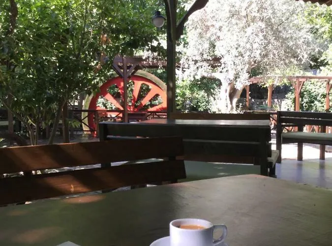 Uyku Vadisi Agaclihuyuk