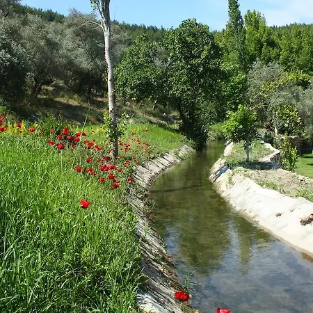 Uyku Vadisi * Agaclihuyuk