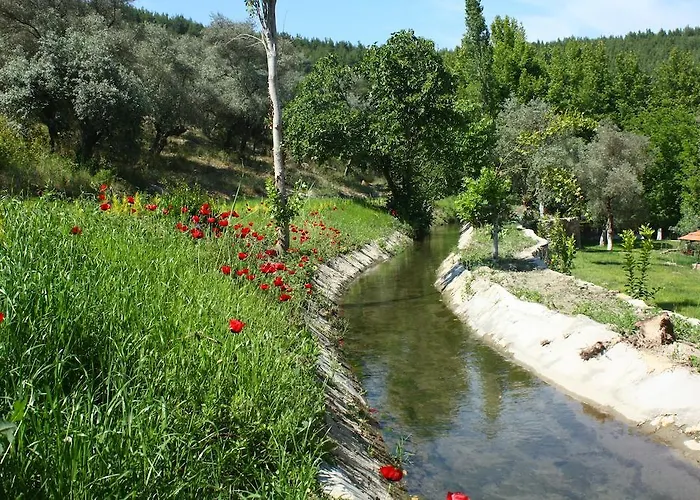 Uyku Vadisi * Agaclihuyuk